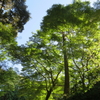 裏町散歩：京都一周トレイル（東山コース）