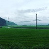 日本三景、天橋立を逝く。