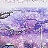 『秒速5センチメートル』新海誠 監督