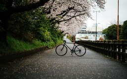 その写真、どこのカメラで撮りました？ 📸Nikon使いの皆さんが撮ったオオワシ、桜並木、レーザービームetc. 【カメラ特集・第1回】