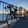 Flèche日本橋2024走行記