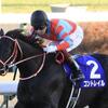 日本ダービー2400ｍを驚愕のスピードで駆け抜けたダービー馬ランキング