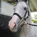 競馬お兄さんはたぼーの３連複日記