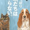 シン・ゴジラの感想が聞きたいと言はれたので