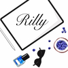 RiLLYの振り返り