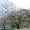 不安定な天気の猫ヶ洞池を歩く