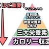 ダイエット・減量の基本を知ろう/カロリー計算ができれば痩せます。