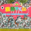 Switch「あつまれ！金魚すくい」レビュー！簡単操作で金魚すくい放題！800円の価値は……どうかな！？
