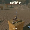 ゼルダの伝説BotW：プレイ日記22