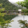 心いやす梅雨のみどり