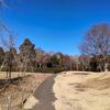 2月の公園