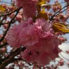 同じものなら、安い方を買いたいのは皆同じ