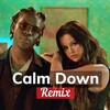 Calm Down (Remix) - Rema & Selena Gomez：セレーナ・ゴメス【歌詞和訳】