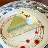 中野セントラルパークのイタリアンカフェ【POPOLNA】を訪問！ピスタチオチーズケーキを食べてみた