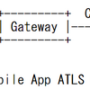 Application-Layer TLS の標準化動向