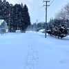 雪はいいなぁ