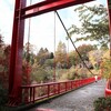 【千葉】泉自然公園で紅葉①楽しんできました【2021/11/23】