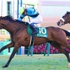 競馬は珍名馬が多すぎる！