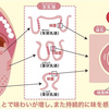 唾液と味覚の話。