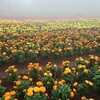 北海道ぶらり旅（2018年8月　左巻健男）その5～博物館網走監獄はよかった！～