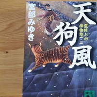 宮部みゆき 震える岩 霊験お初捕物控のあらすじと感想 まつりパンライフ 宮部みゆき 震える岩 霊験お初捕物控のあらすじと感想 まつりパンライフ