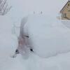 豪雪地ならではの風景