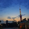 帰宅ラン 真夏の夜の東京観光23k