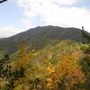 2017年10月30日(月)　秋色に染まる愛宕山・ツツジ尾根と、荒れ模様の明智越