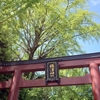 東京・根津神社巡り