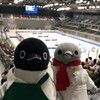  フェンシング！馬術！あと何だっけ？ペンギンズ、はじめての近代五種です(夏の上京編その6)(230)