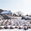 袖ケ浦公園の雪