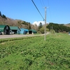 日中は最早初夏の熱気。