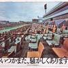 今、競馬が行われる意義　～世界がいつかまた、騒がしくありますように。～