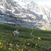 スイス旅：花咲くハイキングの道
