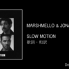 【歌詞・和訳】Marshmello & Jonas Brothers / Slow Motion / マシュメロ & ジョナス・ブラザーズ / スローモーション / スロウモーション