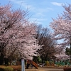 花見の見頃はまだかいな