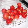 今が旬！さくらんぼ。そろそろ佐藤錦終わっちゃいますよー。