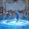 2021 / 横浜・東京⭐︎水族館ざんまいで夫孝行　（2泊
