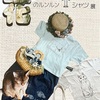 次に向けて動く！