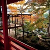 大覚寺の紅葉2025：見頃と色づき状況、混雑を避ける方法！