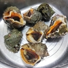 アカニシ貝をバター焼きで食べるよ【愛知県日間賀島産】