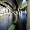 日本橋