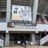 プロ野球沖縄キャンプに行きまくってます