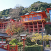 ●「グルメと絶景の西九州ごちそう街道　3日間」続き。  　三日目　　　　　　●7：00　緊急読影待期、まだログイン出来ません。