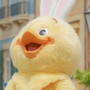 PiYoLoG