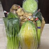 ふるさと納税　野菜セット