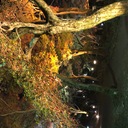 医療データ奮闘記