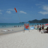 【ニュース】タイでまた！中国人観光客、「遊泳禁止」区域で行方不明にー中国メディア