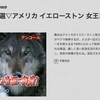 イエローストン国立公園のオオカミ　再導入からおよそ40年の現状：「NHKワイルドライフ選▽アメリカ イエローストン 女王オオカミ 波乱万丈の生涯に密着」を手がかりに少し調べてみました．