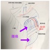 術後11日目〜その②今後のこと